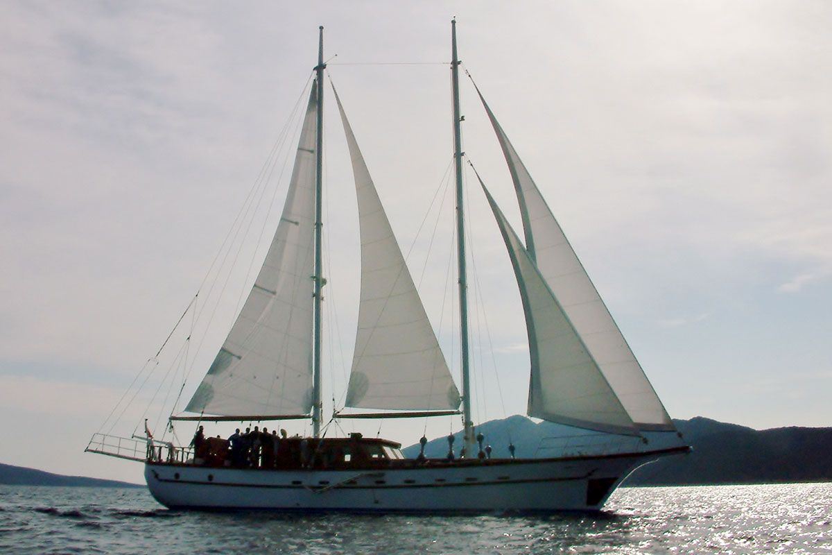 22,50 m / 74 ft